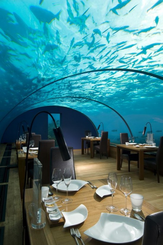 resto-Ithaa-Undersea-maldives
