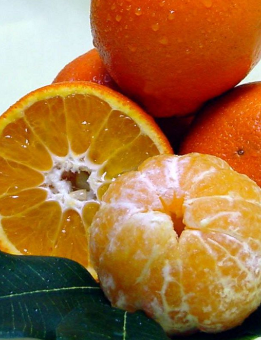 mandarine-orange