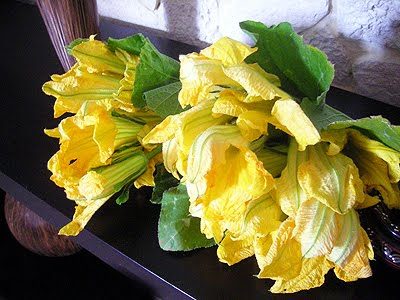 Beignets de fleurs de courgettes