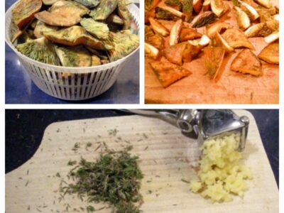 Champignons sanguins en sauce tomate - 2
