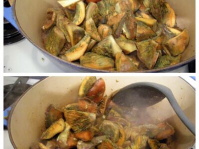 Champignons sanguins en sauce tomate - 3