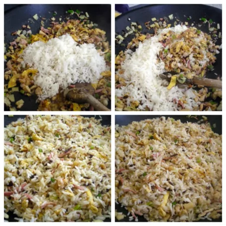 Riz sauté au poulet - 6