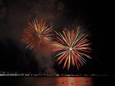 Bonne et Heureuse Année 2010 - 18