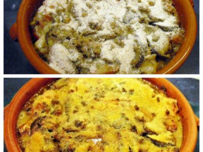 Bohémienne d'aubergines - 8