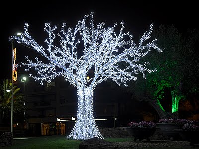 Joyeux Noël à toutes et tous - 18