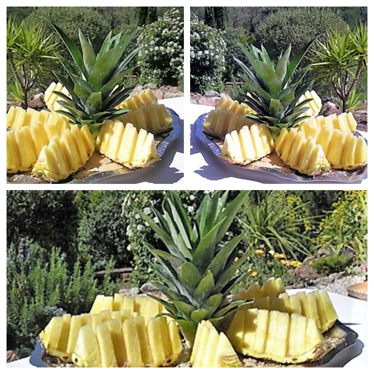 Ananas frais au kirsch - La recette facile par Toqués 2 Cuisine Ananas frais au kirsch - La recette facile par Toqués 2 Cuisine