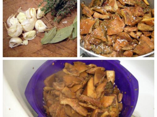 Champignons sanguins en conserve à l'huile - La recette facile par