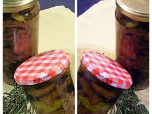 Champignons sanguins en conserve à l'huile - La recette facile par