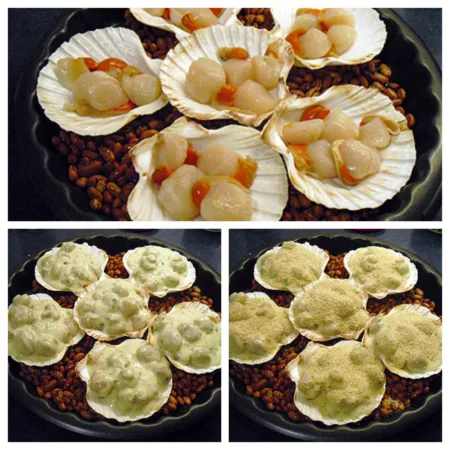 Noix de St Jacques gratinées - 6