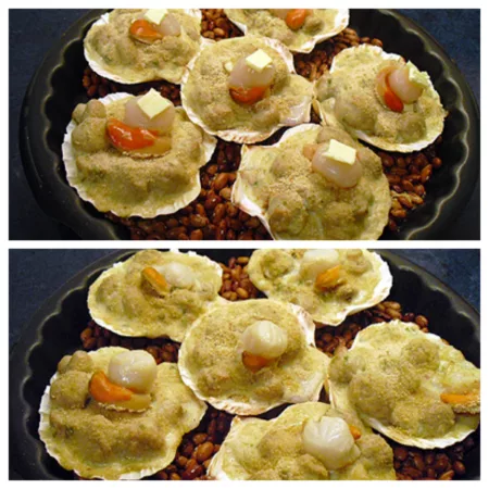 Noix de St Jacques gratinées - 7