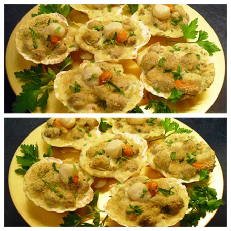 Noix de St Jacques gratinées - 8