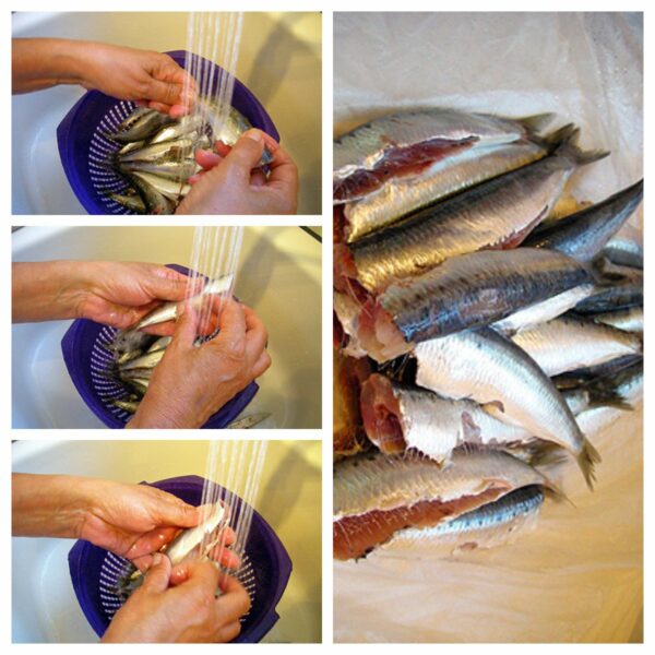 Comment faire les filets de sardines La recette facile par Toqués 2