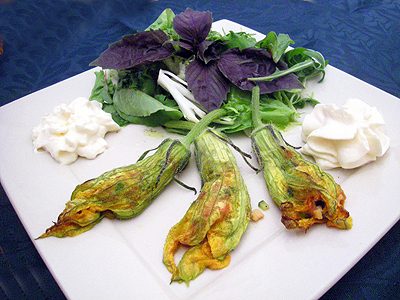 Fleurs de courgettes farcies au saumon - 1