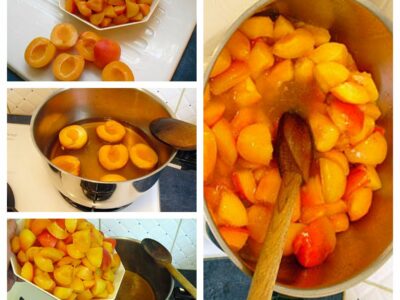 Mousse glacée aux abricots - 3