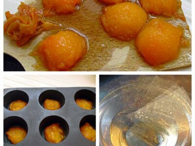 Mousse glacée aux abricots - 4