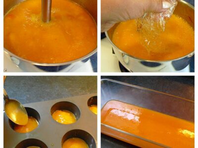 Mousse glacée aux abricots - 5