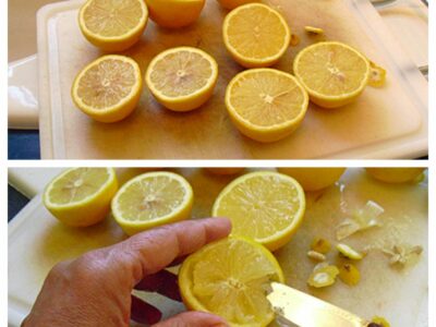 Citrons farcis aux sardines - 2