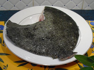 Comment faire des filets de turbot - 1