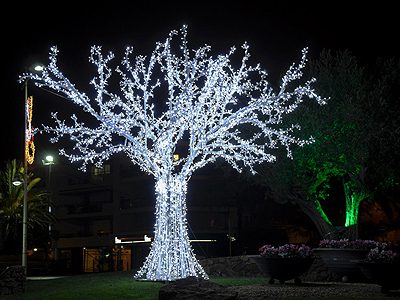 Menu de Noël pas cher - 1