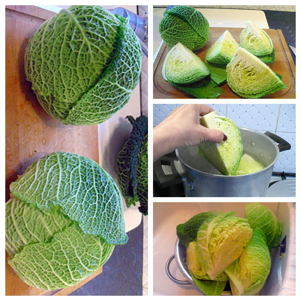 Sabodet au chou - La recette facile par Toqués 2 Cuisine