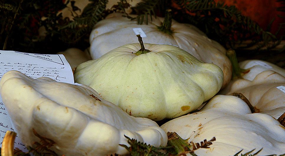 Légumes oubliés, spécial soupes ! - 9