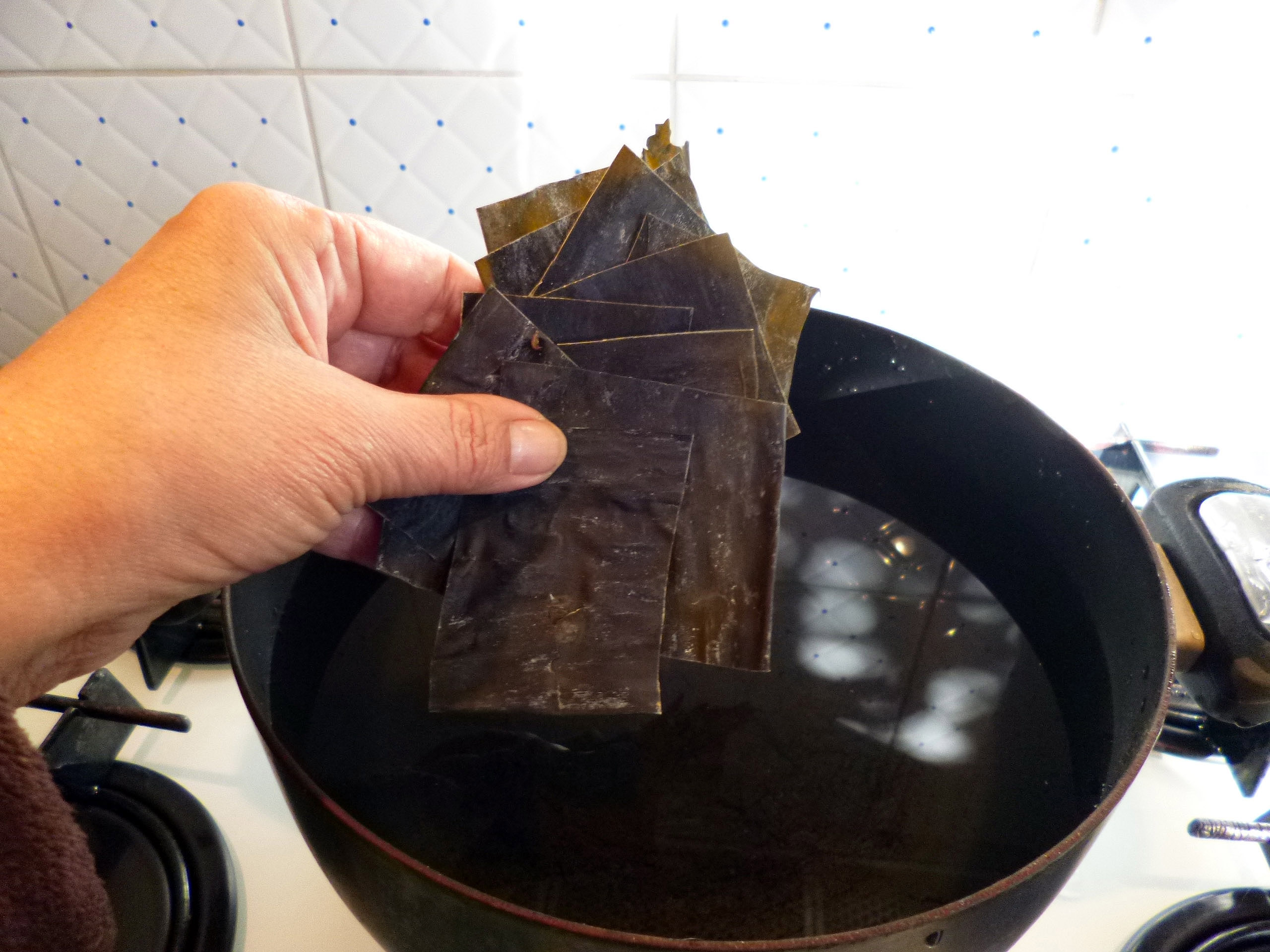 Dashi - 2
