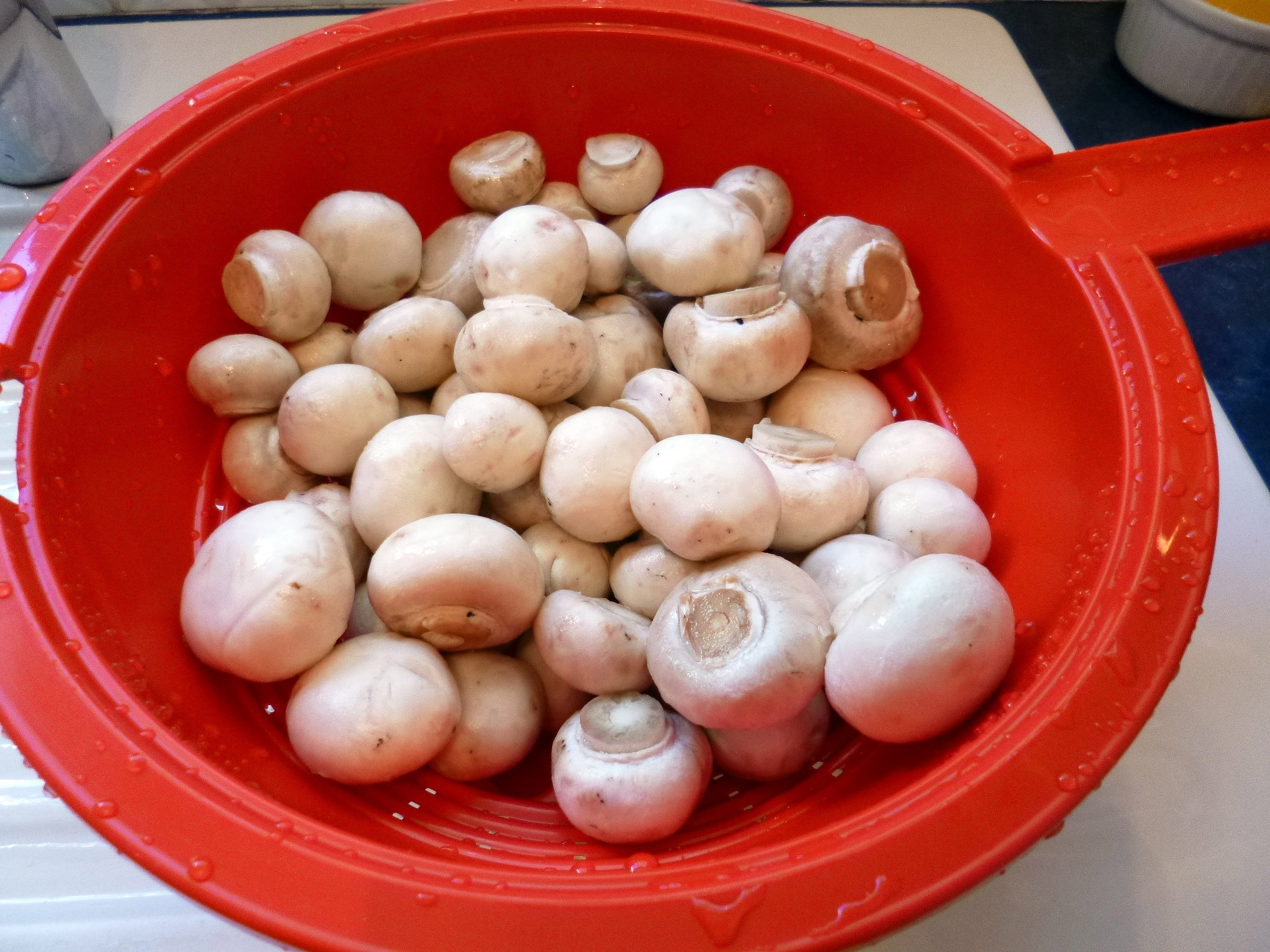 Poulet aux champignons - 3