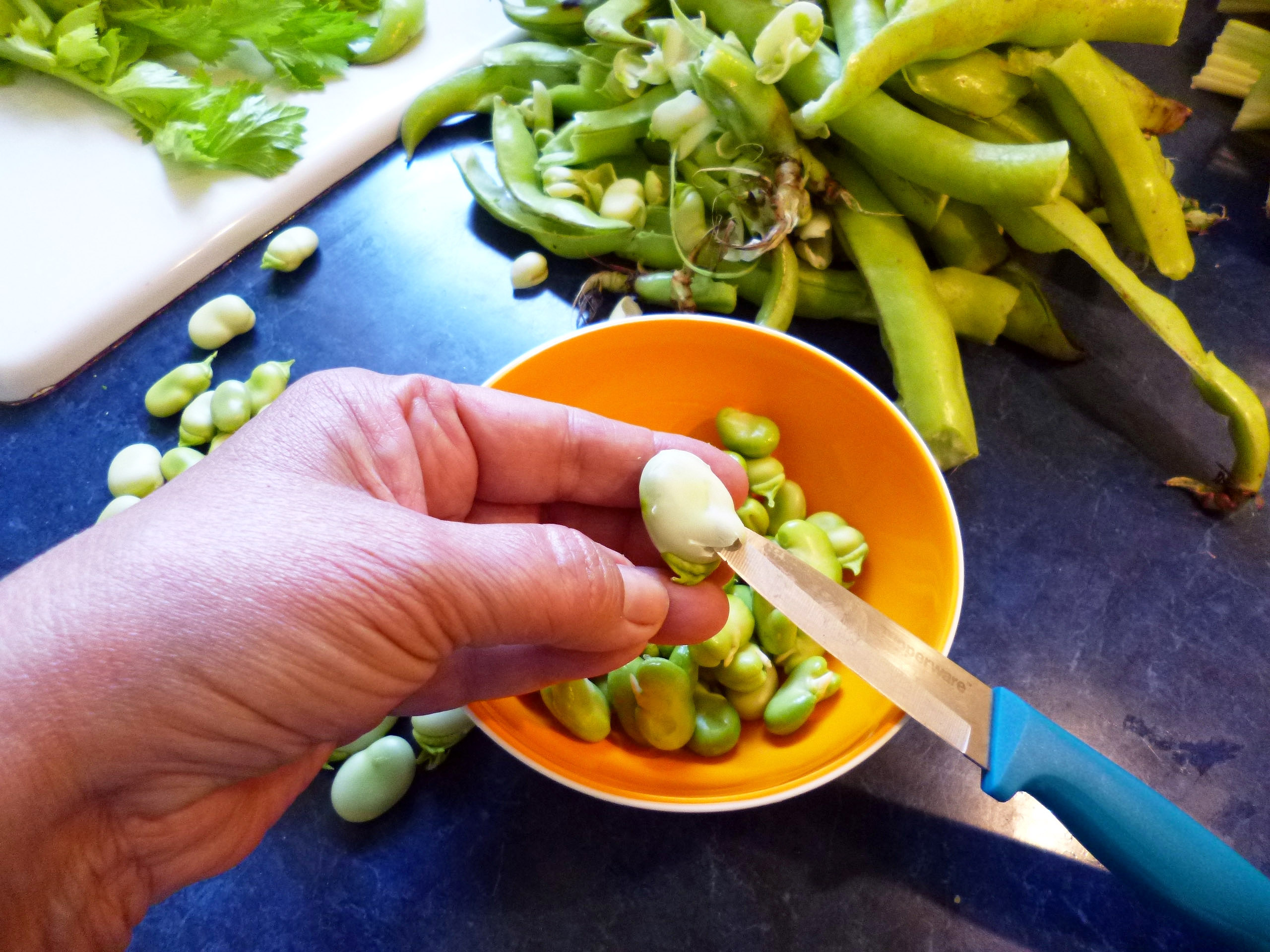 Salade de fèves et céleri - 6