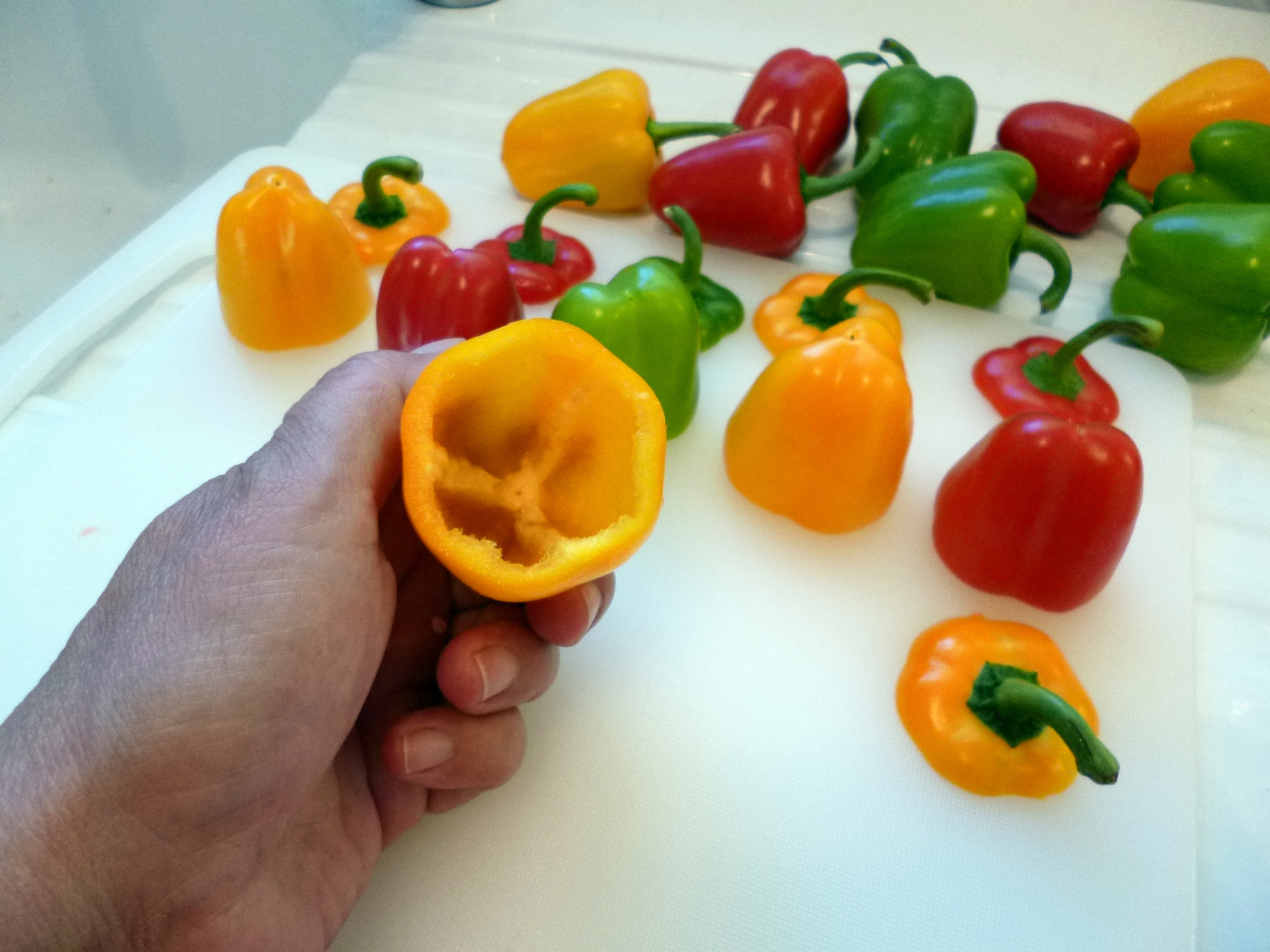 Mini poivrons farcis - 6