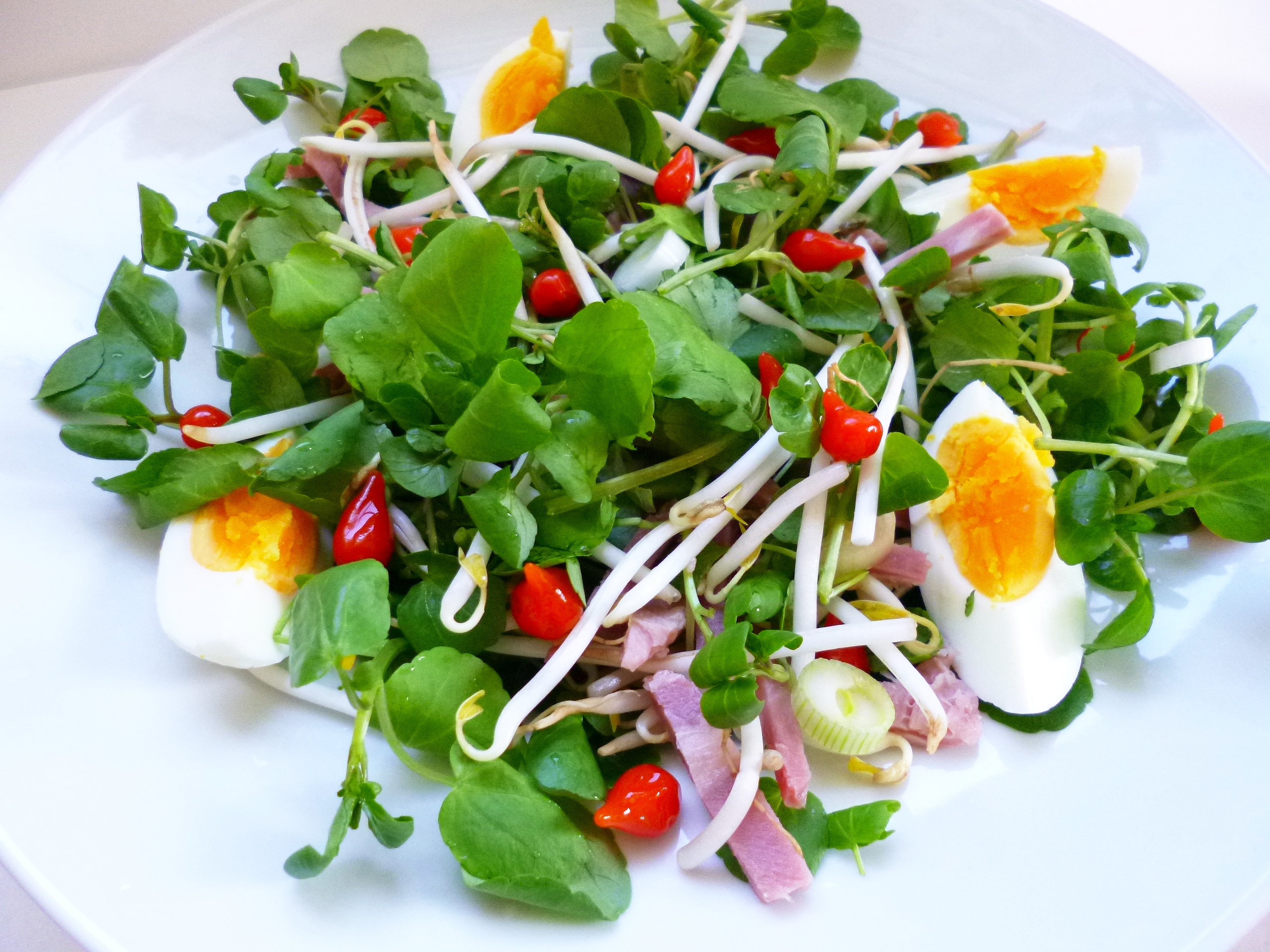 Salade thaï aux gouttes de poivrons rouges - 7