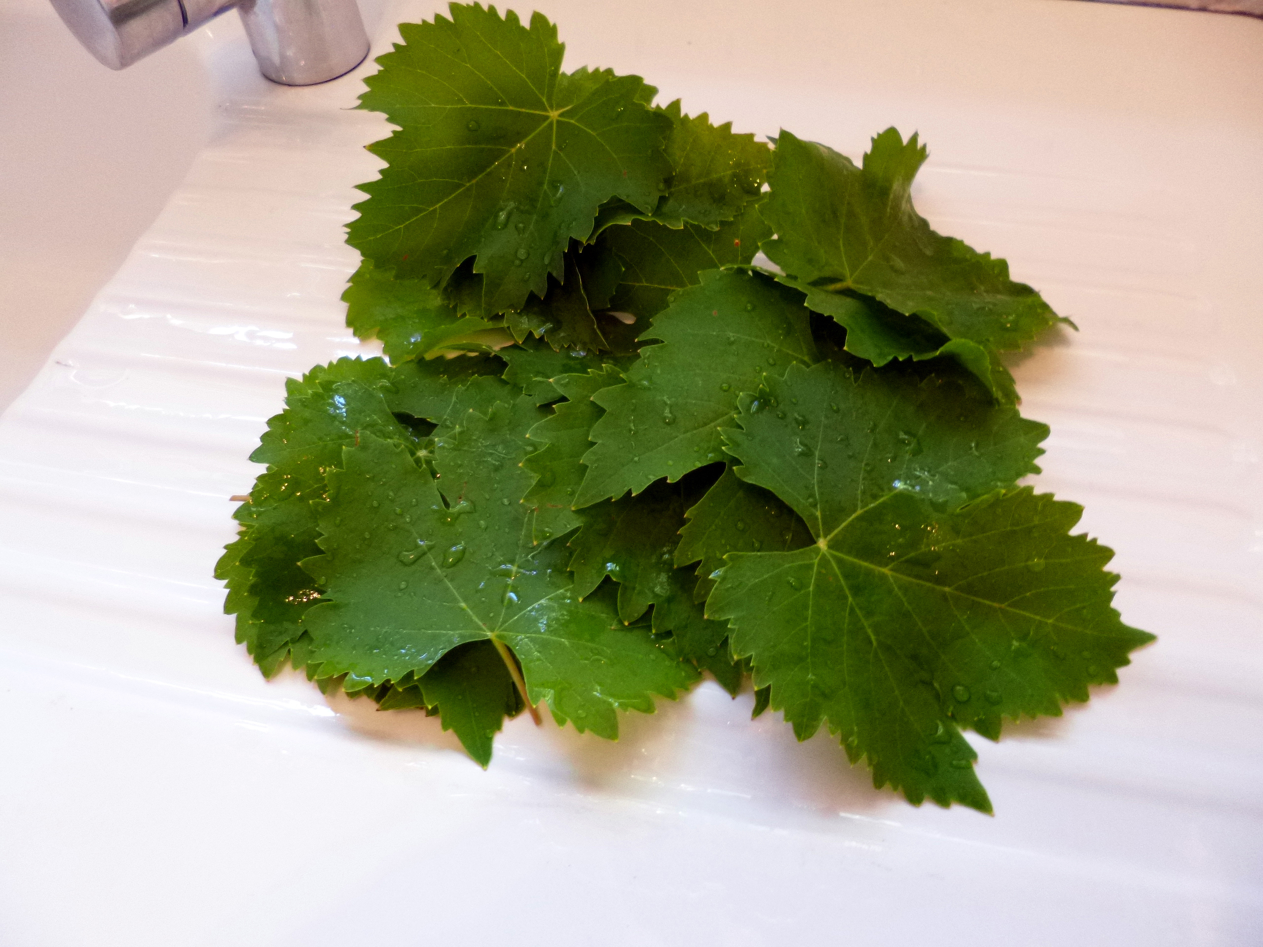 Délice de Mussy en feuilles de vigne - 2