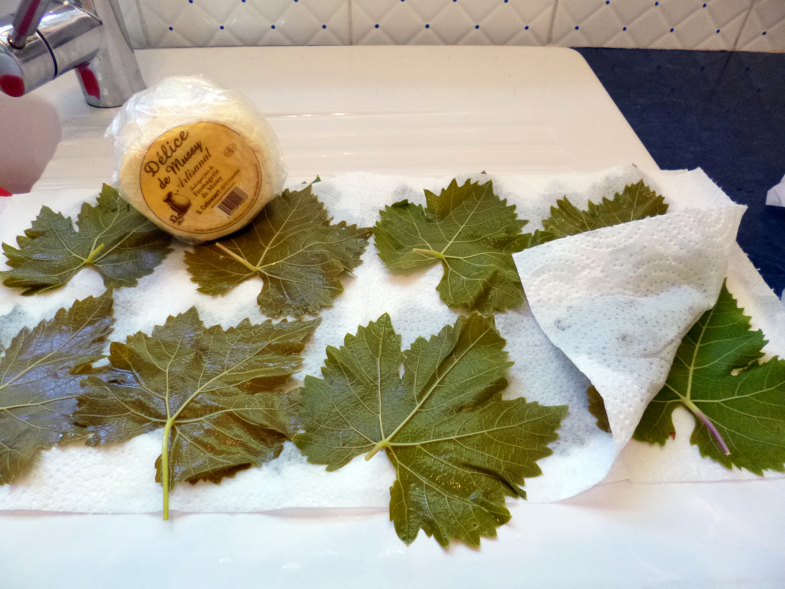 Délice de Mussy en feuilles de vigne - 4
