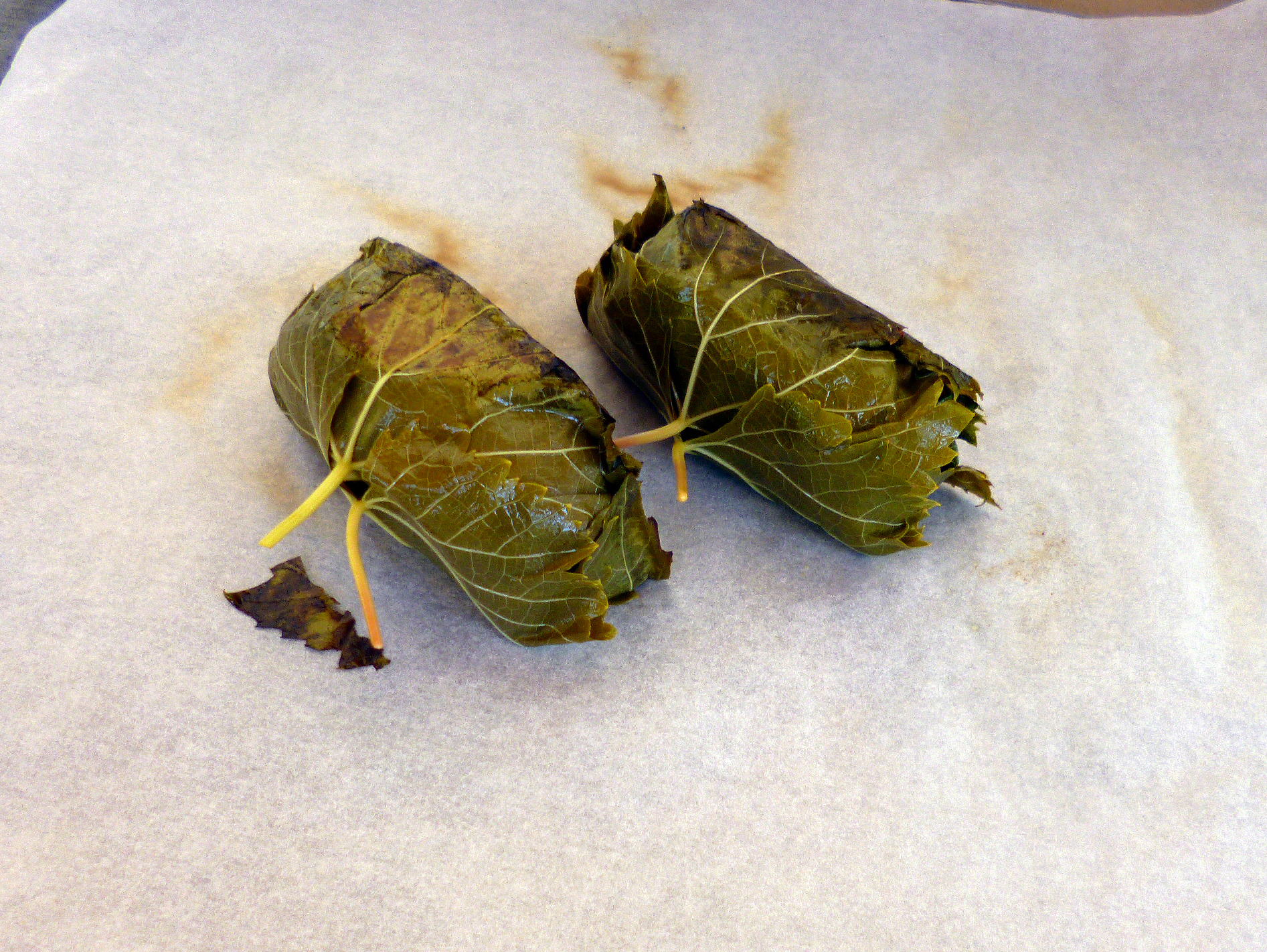 Délice de Mussy en feuilles de vigne - 9