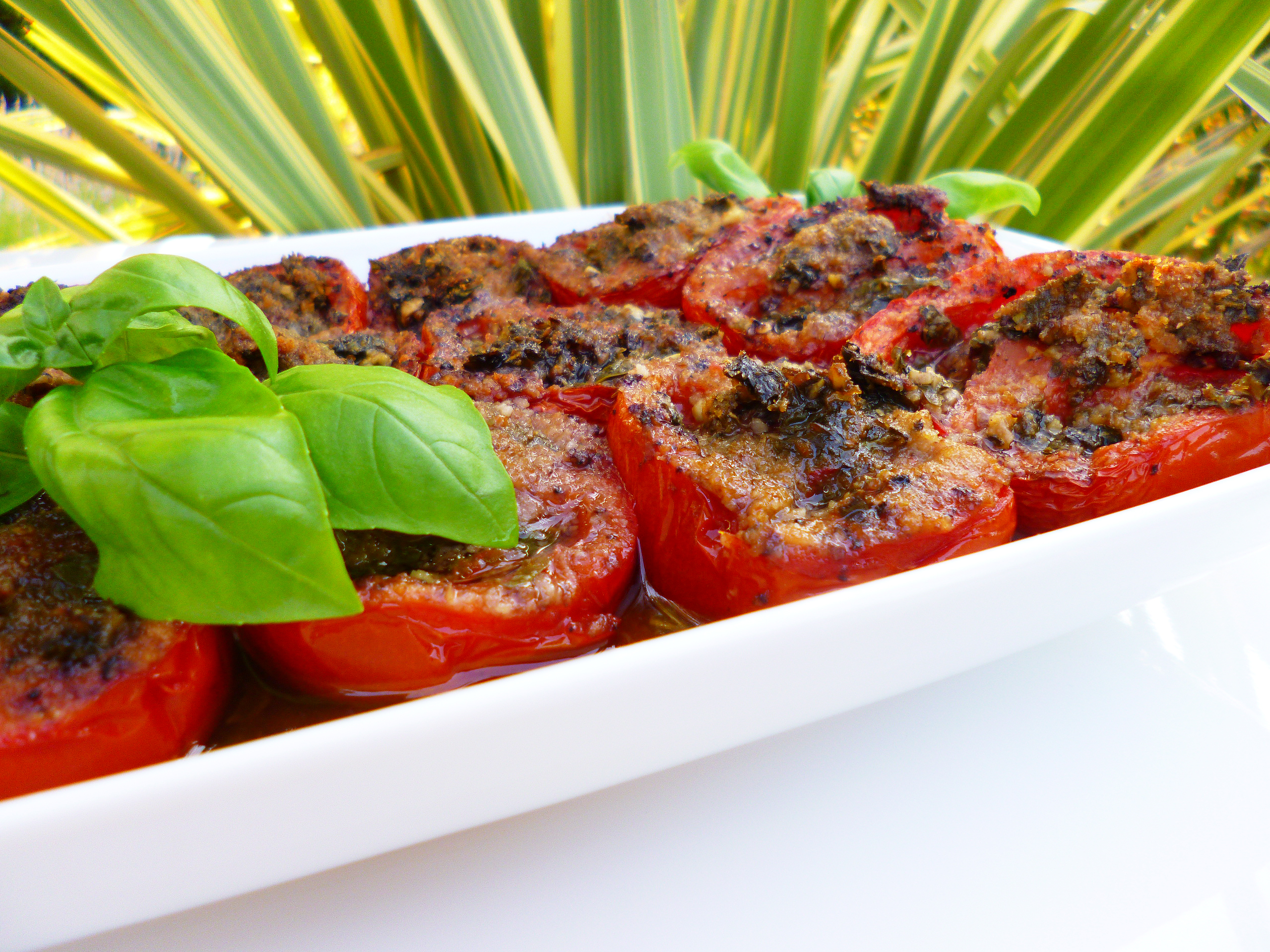 Tomates vigneronnes - 7