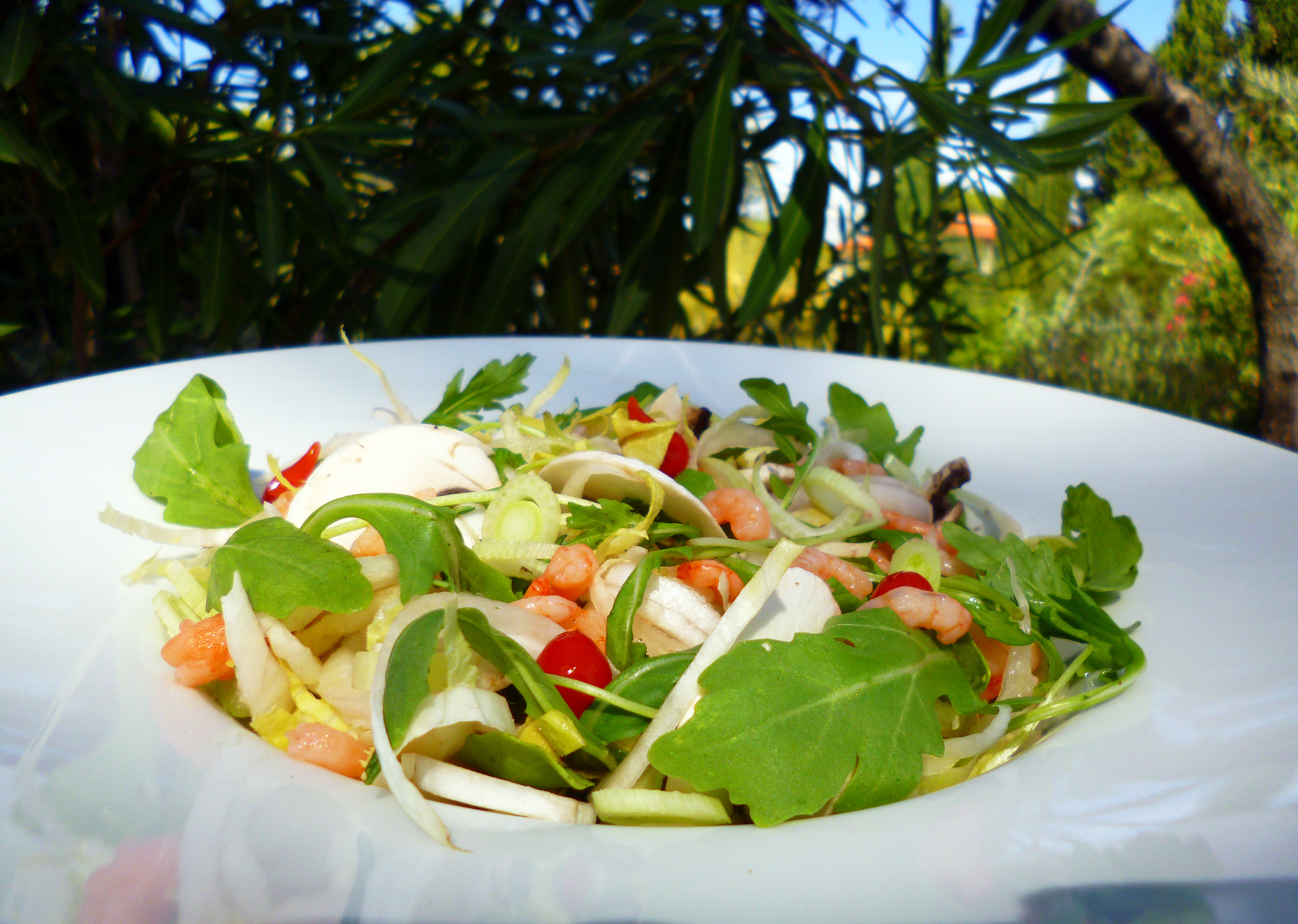Salade de fenouil aux crevettes - 5