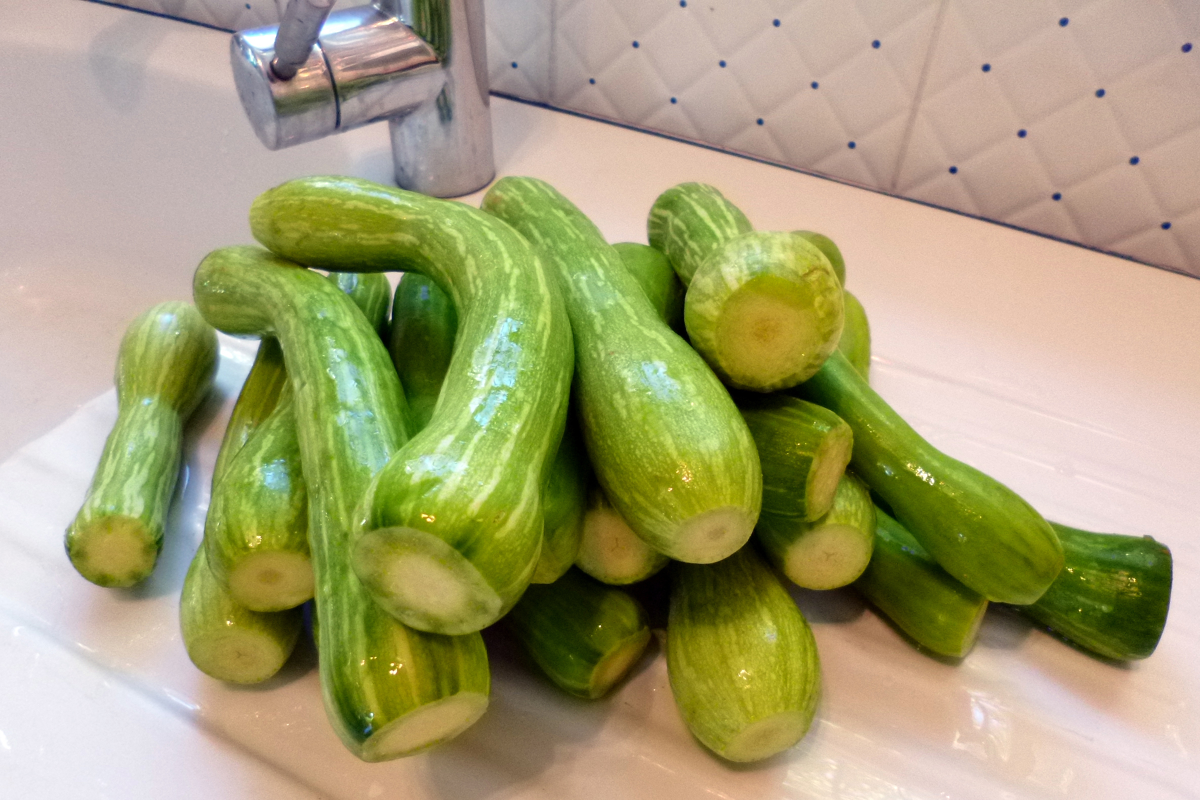 Brunoise de courgettes - 2