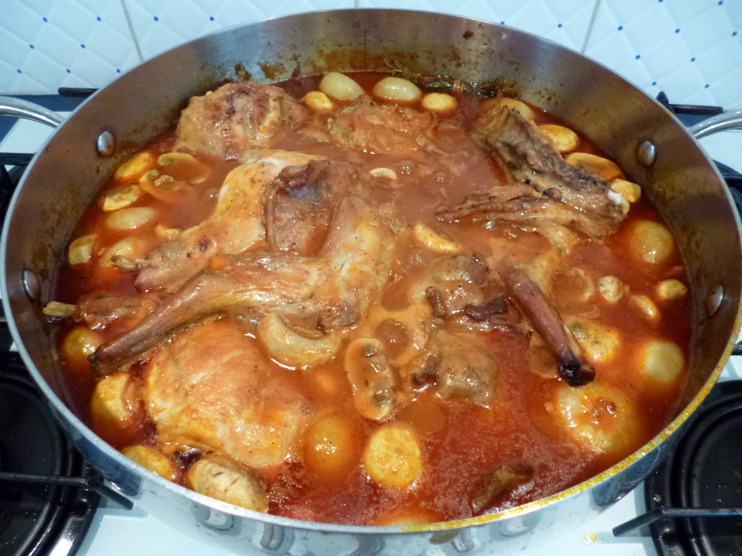 Lapin chasseur - 9