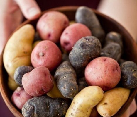 Comment utiliser les différentes variétés de Pommes de terre ?