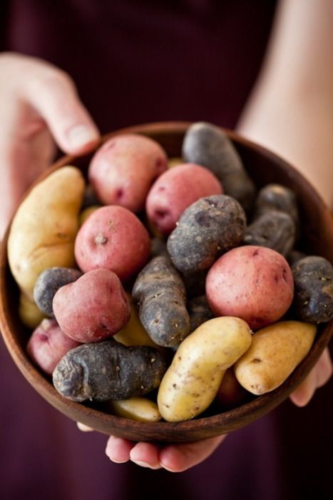 Comment utiliser les différentes variétés de Pommes de terre ? - 12