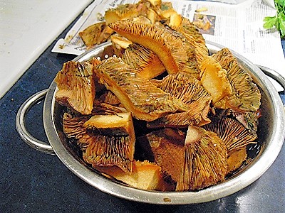 Champignons sanguins panés - 3