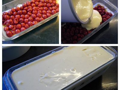 Omelette norvegienne - 7