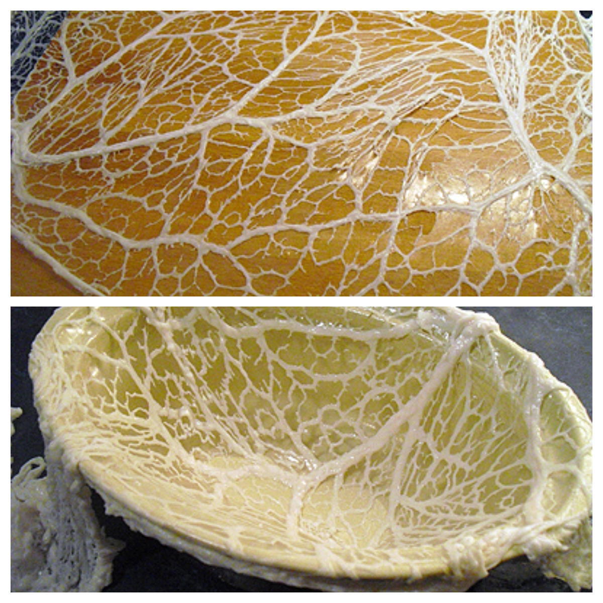 Terrine de chevreuil aux noisettes La recette facile par Toqués 2 Cuisine