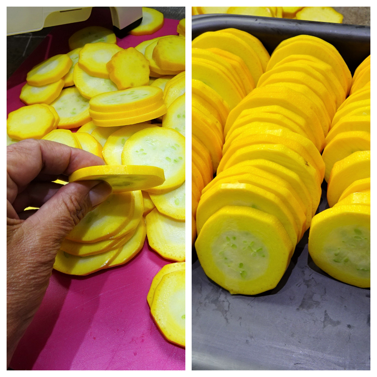 Tian de courgettes jaunes La recette facile par Toqués 2 Cuisine