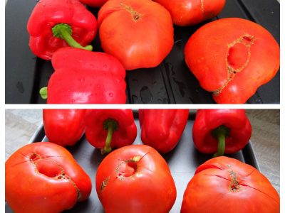 Tajine tomates poivrons et oeufs - 3