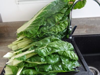 Comment préparer des blettes, bettes ou poirées - 2