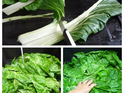 Comment préparer des blettes, bettes ou poirées - 3
