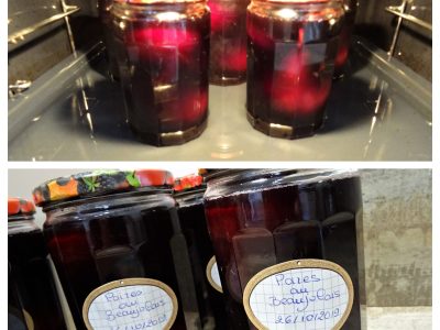Poires au beaujolais en conserve - 6