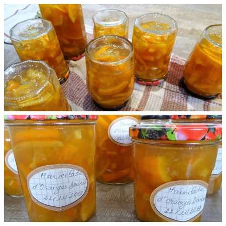 Marmelade d'oranges douces - 7