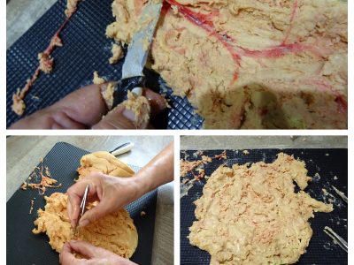 Comment déveiner un foie gras - 6