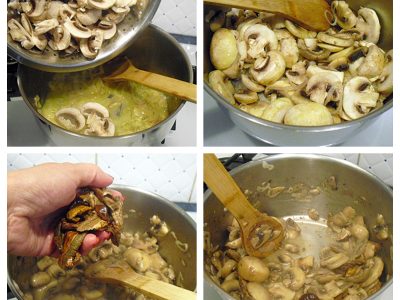 Crème de champignons au foie gras - 3
